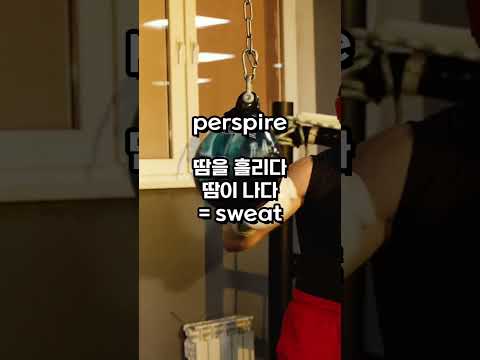 영어단어 하루4개(1460/1년) #영어단어 #영어회화 #English