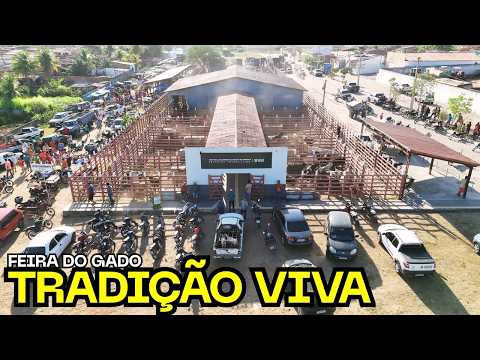 A FEIRA DO GADO QUE MOVE O INTERIOR DO RN - Lagoa de Pedras