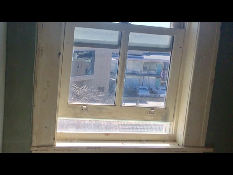 TDW 1706 - Final Moments Of Martin Luther King