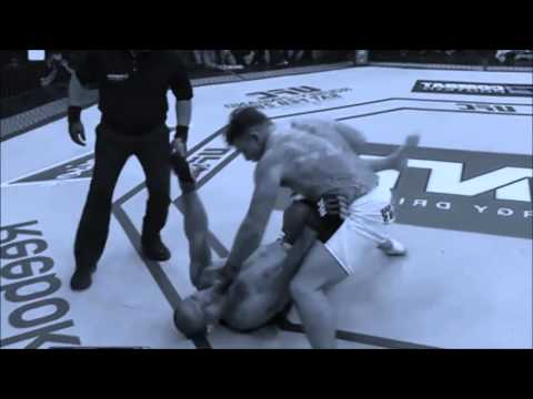 Frank Mir First Round KO Over Bigfoot Silva at UFC Fight Night Porto Alegre  Fight Night 61 !!!