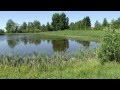 снится мне деревня 