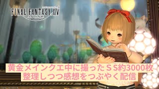 【FF14】黄金メインクエ中に撮ったSSを整理しつつ感想をつぶやく配信【配信】