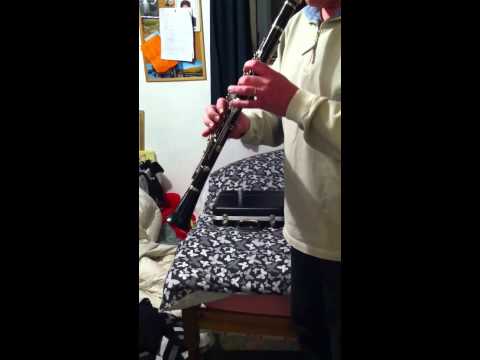 Boosey and Hawkes Bb Regent Clarinet