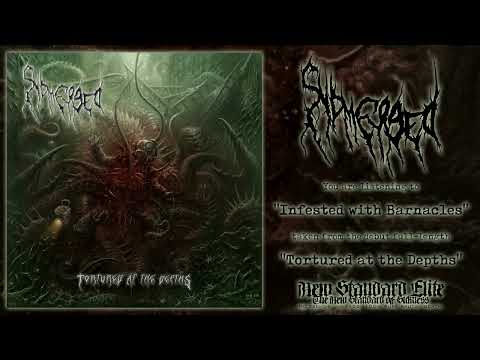 Submerged - "Infested with Barnacles" (Tortured at the Depths | NSE 2024)