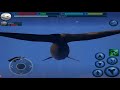 Blue Whale VS Dolphin Octopus Marlin Great White Shark Orca Crab Narwhal Manta Ray