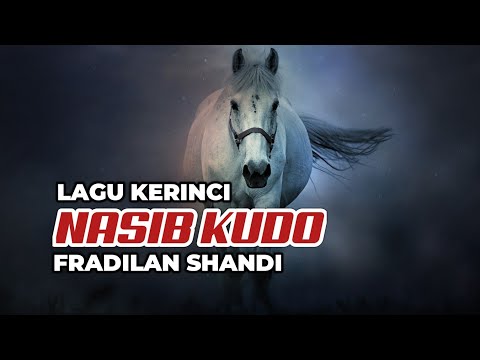 Lagu Kerinci NASIB KUDO || Voc Fradilan Shandi