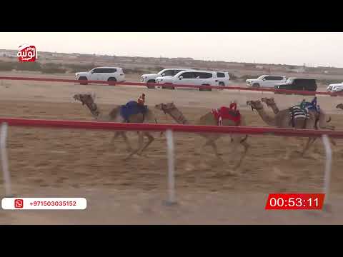  ش 3 (الشاهينيه) لـ سيف علي بن سليمان الكتبي 2:14 , شارة الصندوق 2026/03/21 فطامين الجبيب