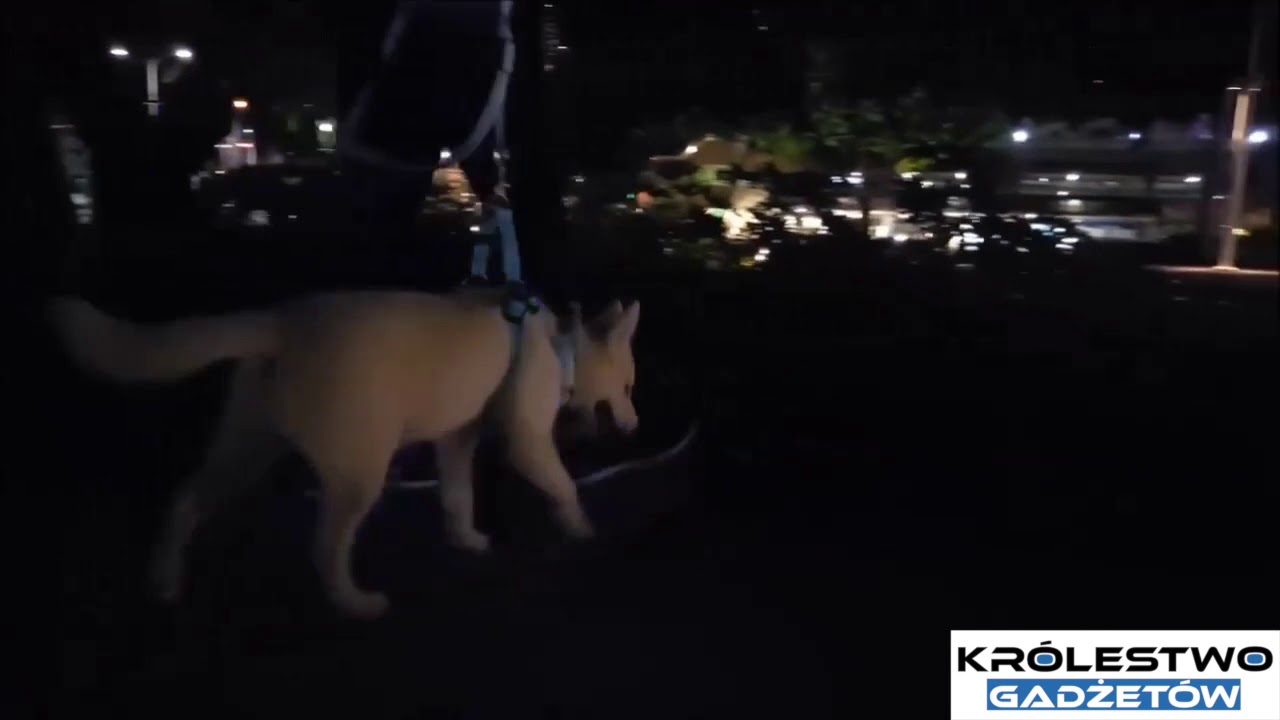 Watch LEDowa Obroża Dla Psa now LEDowa Obroża Dla Psa