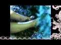 Dido Don't Leave Home 3 МИНУС( LIFE FOR RENT ...
