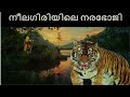 നീലഗിരിയിലെ നരഭോജി |Nilgiri | Maneater |Tiger| Hunting Story |Malayalam | വേട്
