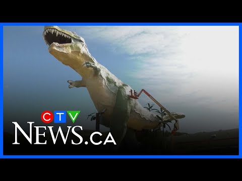 Chcete ho? Největší dinosaurus na světě T-Rex Tyla hledá domov | Ábíčko.cz