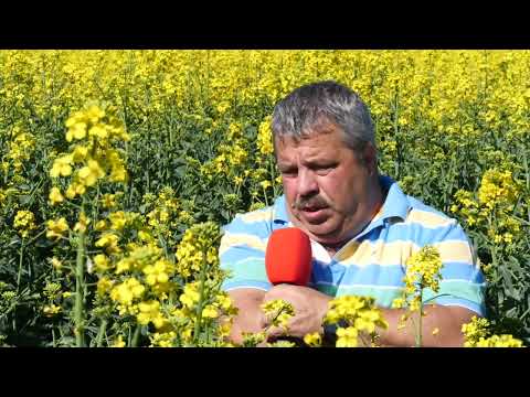 Stefan Gheorghita part 1