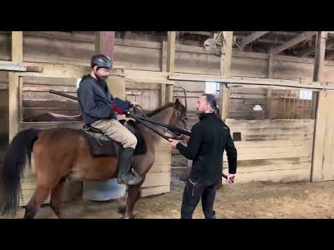 Cavalry Lancer vs. Infantry Halberdier II