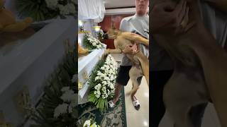 Download lagu My mom’s best friend! 😭😭😭 miss and love you ma!! #dogfriend #youtubeshortsvideo #sadvideostatus mp3 Download lagu My mom’s best friend! 😭😭😭 miss and love you ma!! #dogfriend #youtubeshortsvideo #sadvideostatus mp3