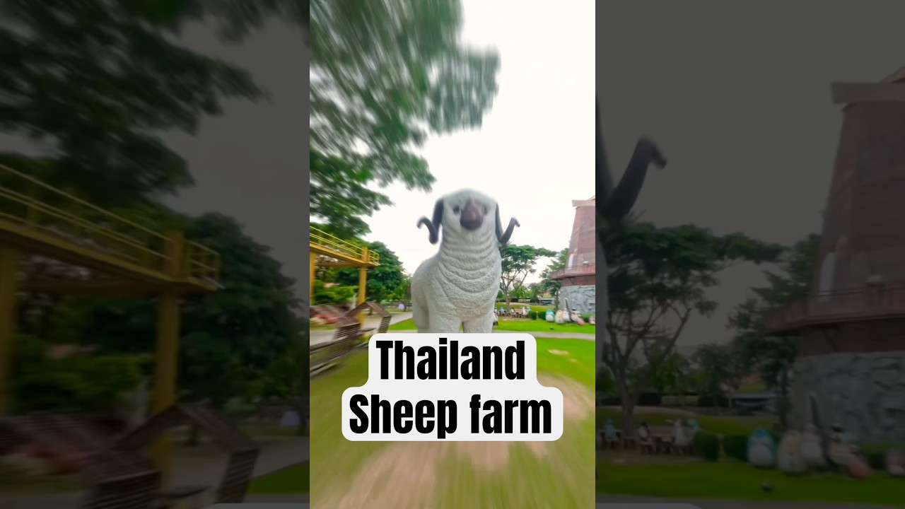 YouTube Short thumbnail