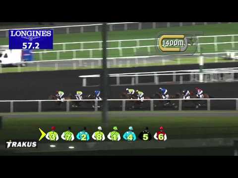 06.02.2014 Meydan (Dubai-UAE) 1.Race Al Maktoum Challenge R2 2014 - Group I 2.200 m