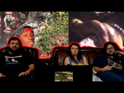 Is this the Most Disrespected Animal in Nature? - @mndiaye_97 | RENEGADES REACT