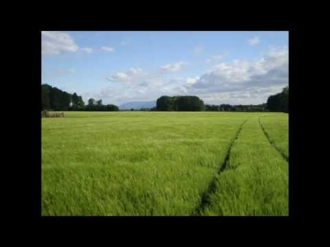 Bim bam schagt der Hammer - Goiserer Viergesang