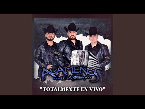 los arroyuelos (En vivo)