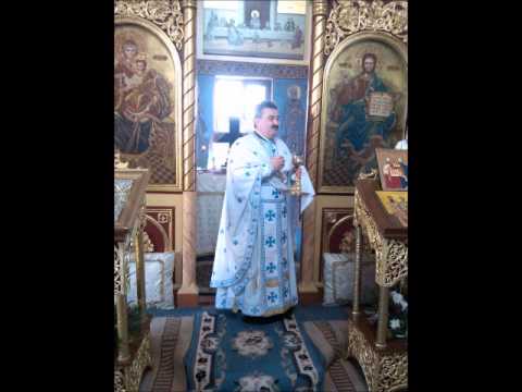 Sf. Trei Ierarhi - Predica Parintelui Marius Mosteanu - 30.01.2014