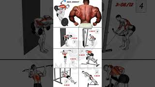 تمارين الظهر التي تحتاجها لعضلات ضخمة دليل كامل back workout
