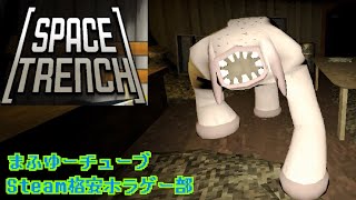 【SPACE TRENCH】580円のエイリアンを狩るFPSゾンビゲーム【Steam格安ホラゲー部】