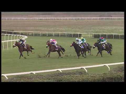 2016.11.06 Premio Guido Berardelli (ITA) - Aethos