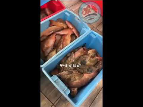 Vendyst Sandakan Seafood 的创始人， 拥有四十多年捕鱼历练的渔业世家