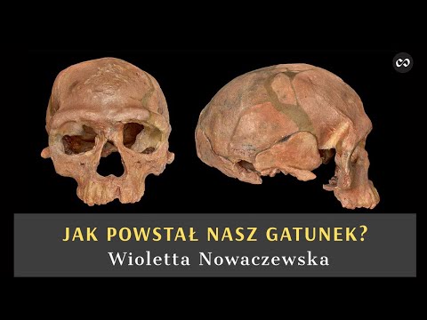 Pochodzenie Homo sapiens, Wioletta Nowaczewska