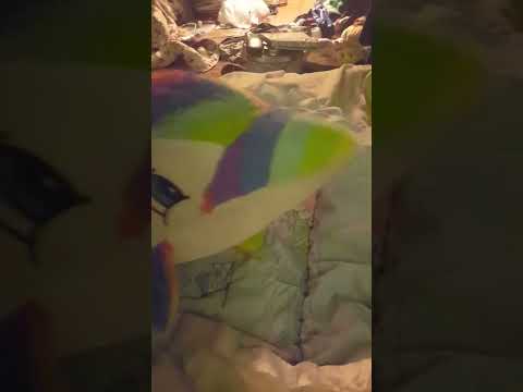 Pooky is mad at Gay the Dolphin. (Credits to the sound)