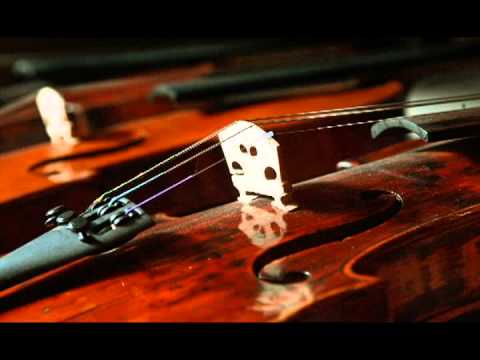 Dan Daniel - Scuturat