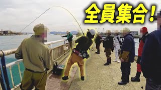 【釣り】ワニが釣れて、周りの人が全員集まったｗｗ