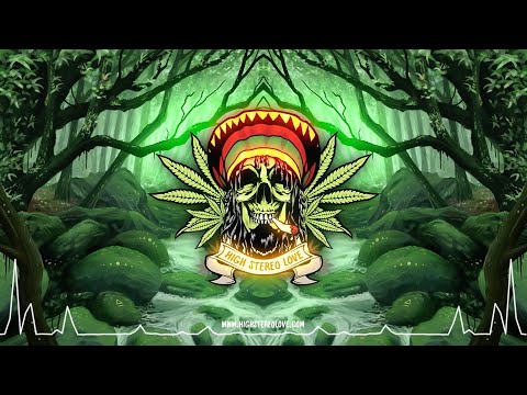 Shumba Youth - Standing Firm (Lyrics)