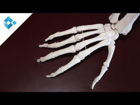 Wie die subkutane Schuppenflechte auf der Ferse zu heilen Die Wirkung der Schuppenflechte auf das Nervensystem