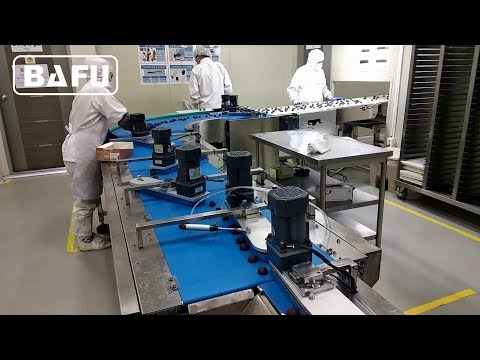 FWC350 confezionatrice automatica in fabbrica di cioccolato in Corea