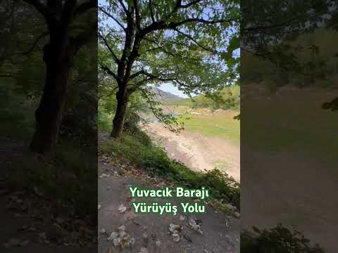 Kocaeli Yuvacık Barajı Yürüyüş Parkuru keşfet trending doğa yürüyüşturu 