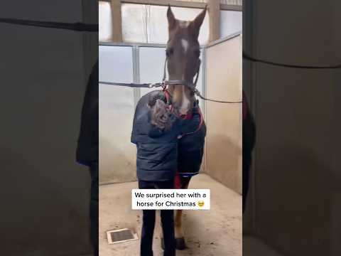Gift Of a Lifetime:Her First Horse.❤️🐎#horse #farm #horsegirl #funny #funnyanimal #love