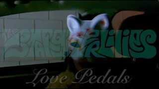 The Stargazer Lilies – Ambient Light