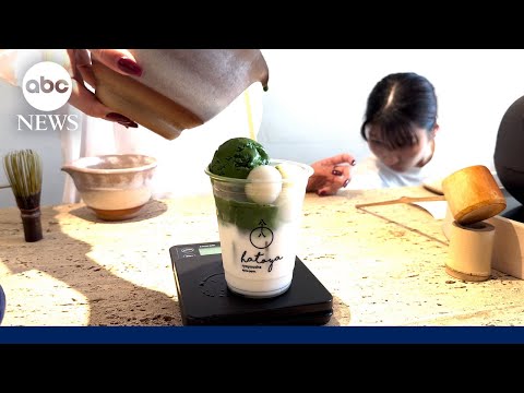 Japan’s matcha industry faces uncertainty amid Trump’s tariffs
