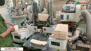 HÀ NỘI | Máy đánh mộng dương CNC 2 đầu tốc độ cao