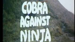 Cobra Against Ninja (1987) Video