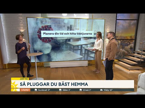 Så pluggar du bäst hemma – här är supermetoderna - Nyhetsmorgon (TV4)