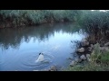 Св. Источник Иверского женского монастыря 