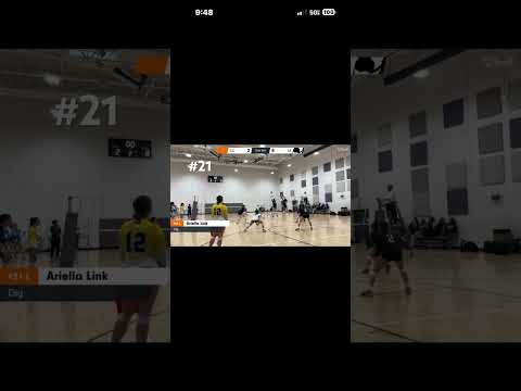 Ariella Link - 15 Black 