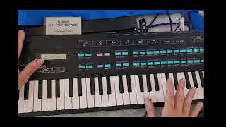 Yamaha DX100 - What To Know & Where To Buy | Equipboard