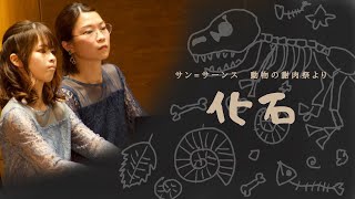 Download lagu 【ピアノ４手連弾】サン＝サーンス　動物の謝肉祭よりXII,化石/Piano 4hands duo Saint-Saëns:Carnaval des animaux XII mp3