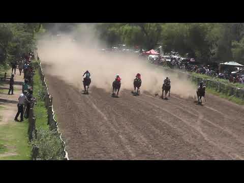 VISTA ALEGRE 7  "TAMBERA"  16-2-20