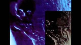 Skinny Puppy - Assimilate