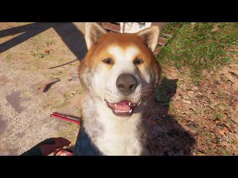 Far Cry New Dawn - Timber (Canine Companion Retriever) Kills A Highwayman PS4 Pro Gameplay (2019)