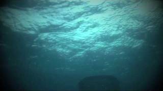 Nine Inch Nails - A Warm Place